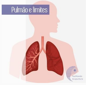 O Pulmão e a noção de Limite na Medicina Chinesa