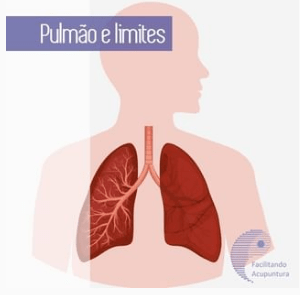 O Pulmão e a noção de Limite na Medicina&nbsp;Chinesa