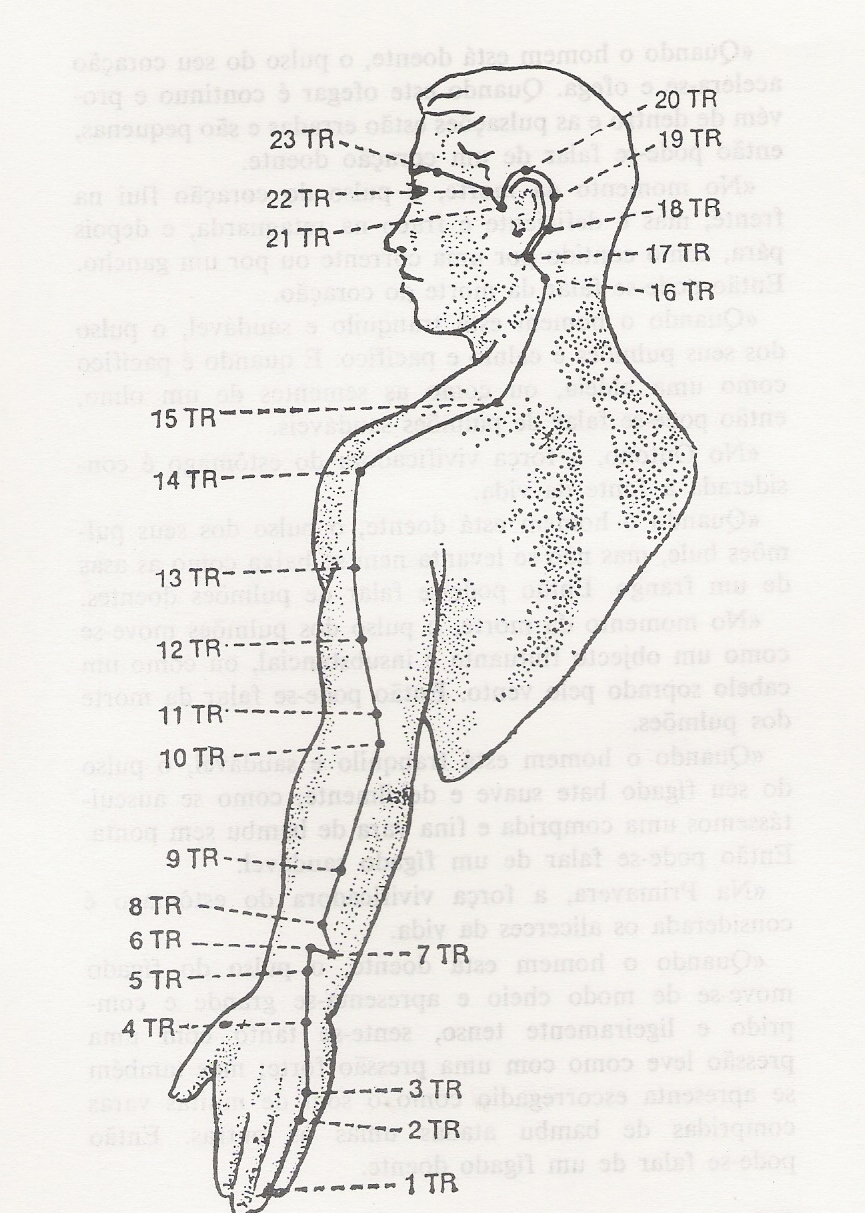 OS ZANG FU – TRIPLO AQUECEDOR – FISIOLOGIA E&nbsp;PATOLOGIA